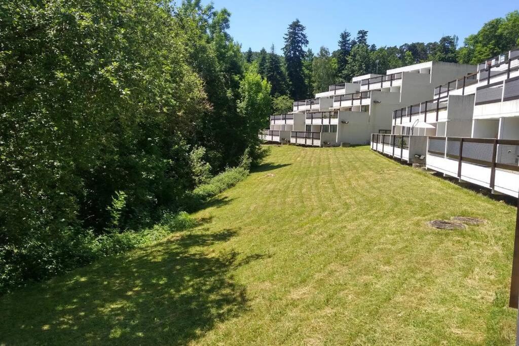 Studio Au Coeur Des Volcans D Auvergne - มูรอล ภายนอก รูปภาพ