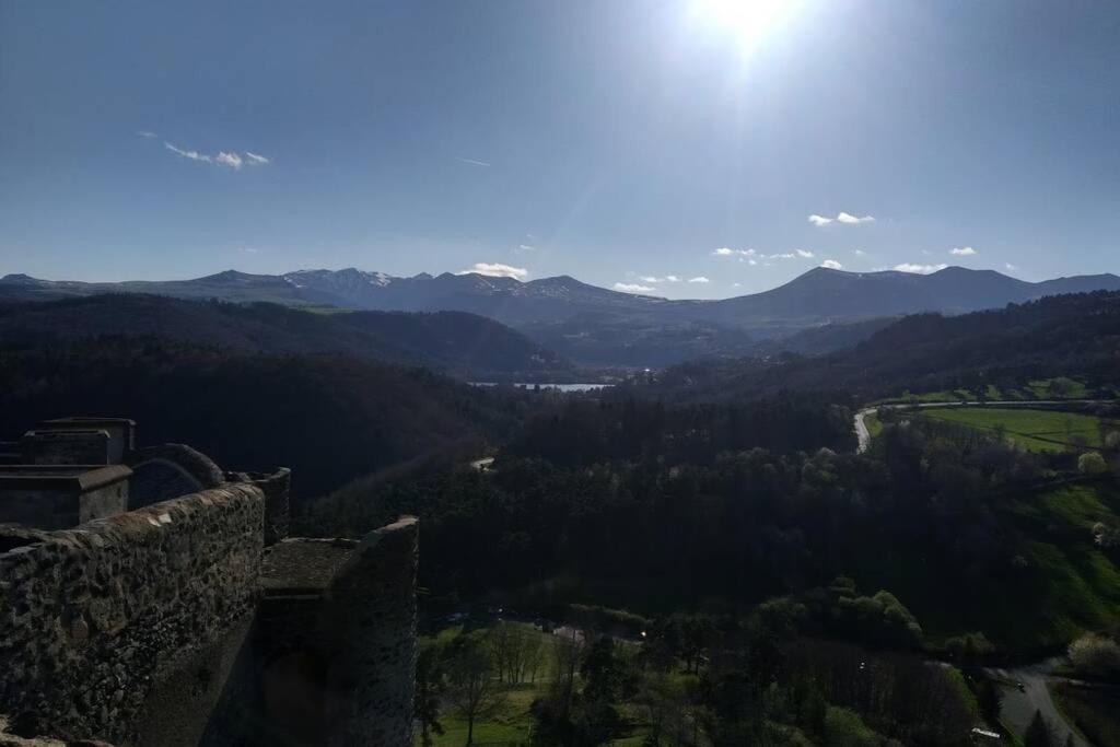 Studio Au Coeur Des Volcans D Auvergne - มูรอล ภายนอก รูปภาพ